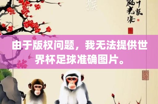 由于版权问题，我无法提供世界杯足球准确图片。广西贺州市华昌新材料有限公司