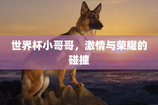 世界杯小哥哥，激情与荣耀的碰撞