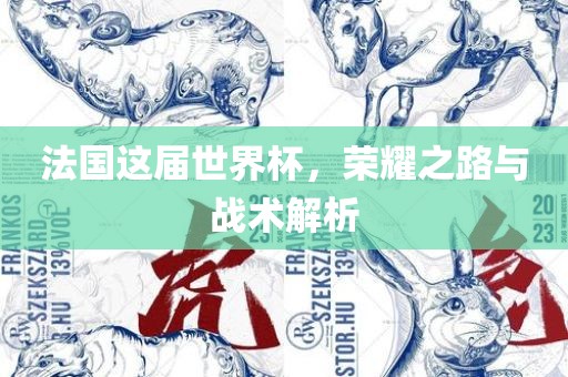 法国这届世界杯，荣耀之路与战术解析