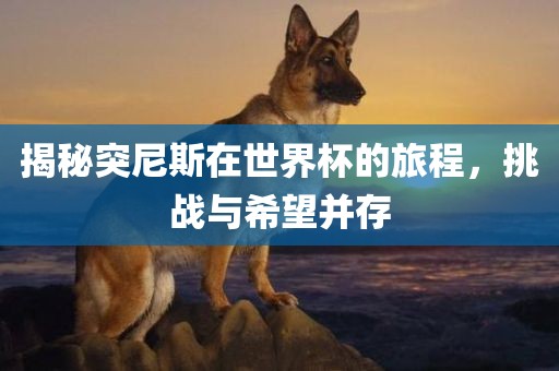 揭秘突尼斯在世界杯的旅程，挑战与希望并存
