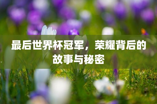 最后世界杯冠军，荣耀背后的故事与秘密