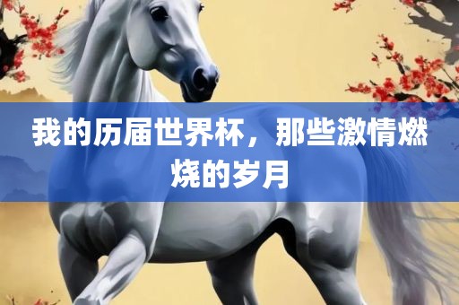 我的历届世界杯，那些激情燃烧的岁月