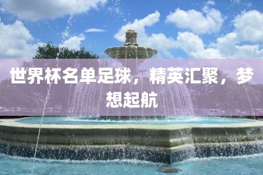 世界杯名单足球，精英汇聚，梦想起航