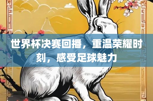 世界杯决赛回播，重温荣耀时刻，感受足球魅力