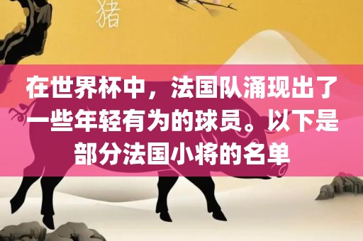 在世界杯中，法国队涌现出了一些年轻有为的球员。以下是部分法国小将的名单