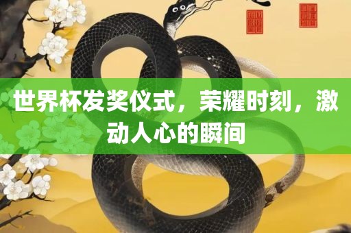世界杯发奖仪式，荣耀时刻，激动人心的瞬间