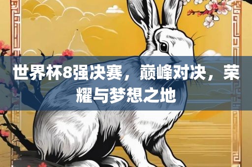 世界杯8强决赛，巅峰对决，荣耀与梦想之地