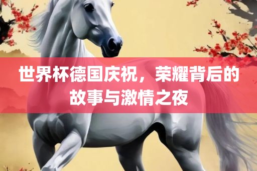 世界杯德国庆祝，荣耀背后的故事与激情之夜