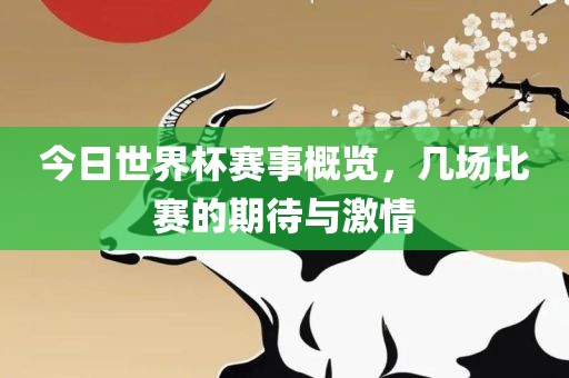 今日世界杯赛事概览，几场比赛的期待与激情