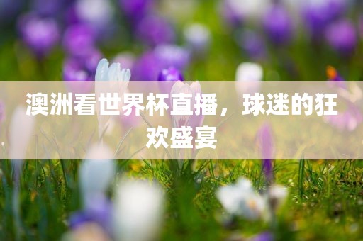 澳洲看世界杯直播，球迷的狂欢盛宴