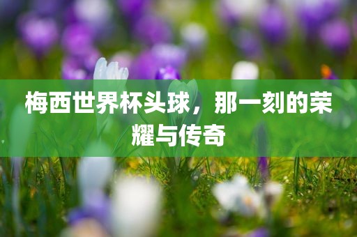 梅西世界杯头球，那一刻的荣耀与传奇