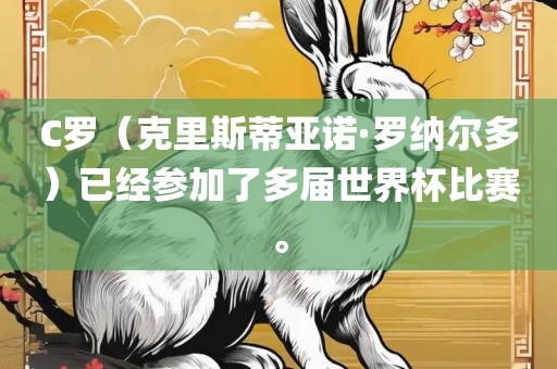 C罗（克里斯蒂亚诺·罗纳尔多）已经参加了多届世界杯比赛。