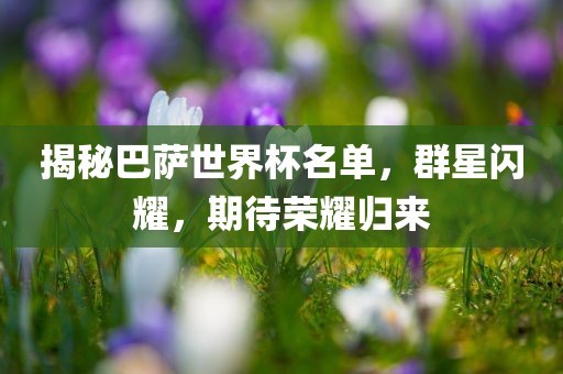 揭秘巴萨世界杯名单，群星闪耀，期待荣耀归来
