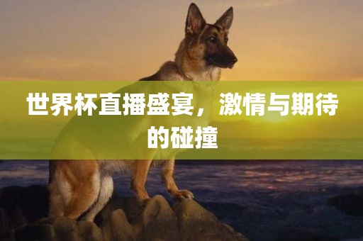 世界杯直播 第12页