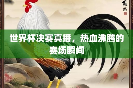 世界杯决赛真播，热血沸腾的赛场瞬间