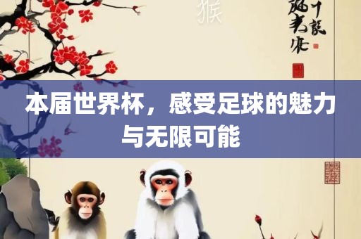 本届世界杯，感受足球的魅力与无限可能