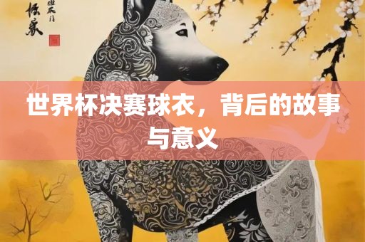 世界杯决赛球衣，背后的故事与意义