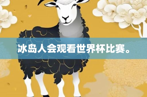 冰岛人会观看世界杯比赛。
