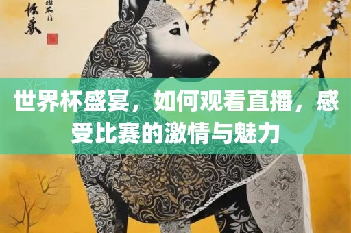 世界杯盛宴，如何观看直播，感受比赛的激情与魅力