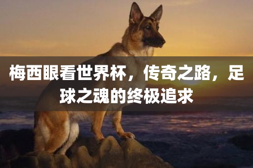 梅西眼看世界杯，传奇之路，足球之魂的终极追求