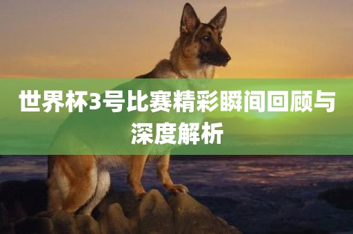 世界杯3号比赛精彩瞬间回顾与深度解析