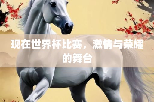 现在世界杯比赛，激情与荣耀的舞台