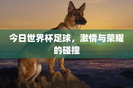 今日世界杯足球广西贺州市华昌新材料有限公司，激情与荣耀的碰撞