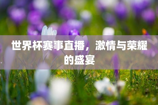 世界杯赛事直播，激情与荣耀的盛宴