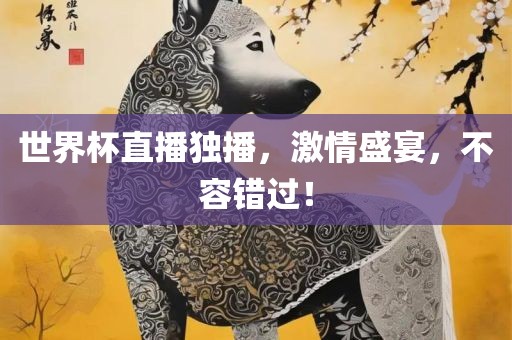 世界杯直播独播，激情盛宴，不容错过！