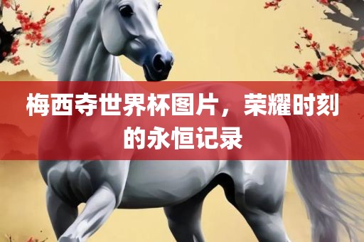 梅西夺世界杯图片，荣耀时刻的永恒记录
