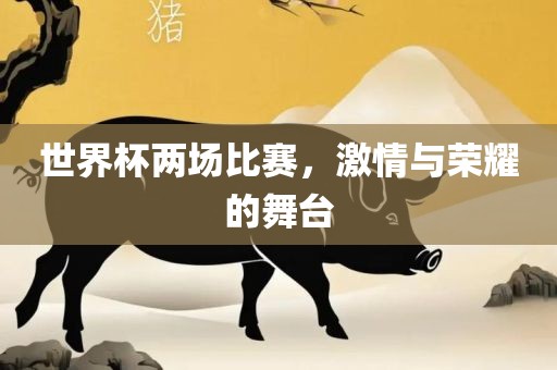 世界杯两场比赛，激情与荣耀的舞台广西贺州市华昌新材料有限公司