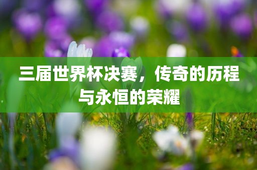 三届世界杯决赛，传奇的历程与永恒的荣耀