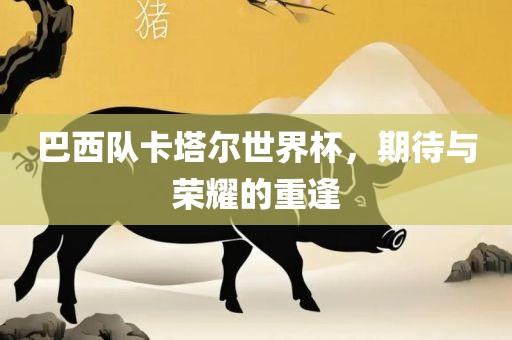 巴西队卡塔尔世界杯，期待与荣耀的重逢