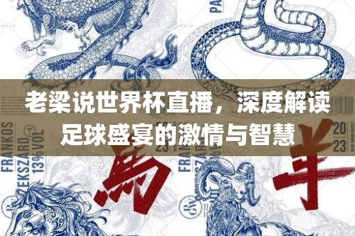 老梁说世界杯直播，深度解读足球盛宴的激情与智慧