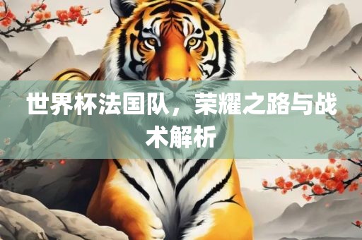 世界杯法国队，荣耀之路与战术解析