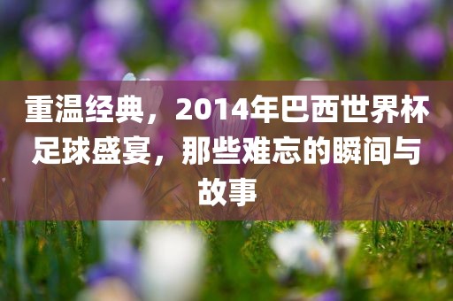 重温经典，2014年巴西世界杯足球盛宴，那些难忘的瞬间与故事