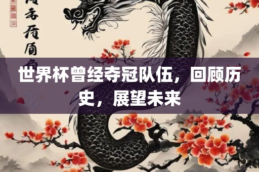 世界杯曾经夺冠队伍，回顾历史，展望未来