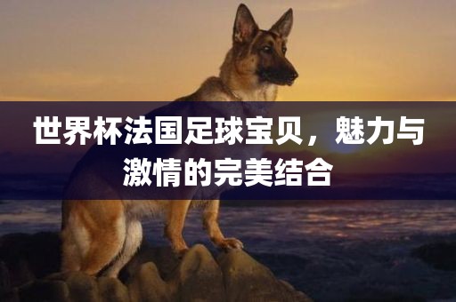 世界杯法国足球宝贝，魅力与激情的完美结合