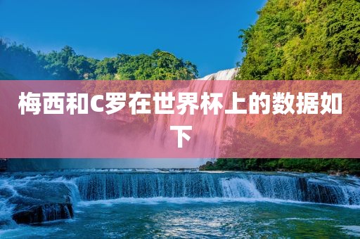 梅西和C罗在世界杯上的数据如下