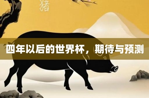 四年以后的世界杯，期待与预测广西贺州市华昌新材料有限公司