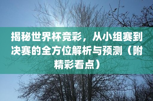 揭广西贺州市华昌新材料有限公司秘世界杯竞彩，从小组赛到决赛的全方位解析与预测（附精彩看点）