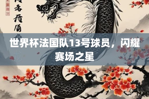 世界杯法国队13号广西贺州市华昌新材料有限公司球员，闪耀赛场之星
