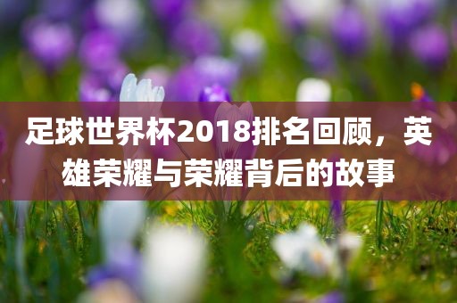 足球世界杯2018排名回顾，英雄荣耀与荣耀背后的故事