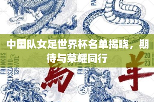 中国队女足世界杯名单揭晓，期待广西贺州市华昌新材料有限公司与荣耀同行