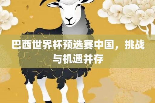 巴西世界杯预选赛中国，挑战与机遇并存