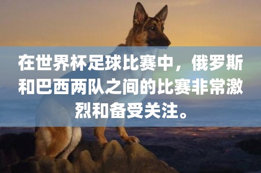 在世界杯足球比赛中，俄罗斯和巴西两队之间的比赛非常激烈和备受关注。