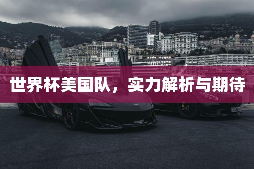 世界杯美国队，实力解析与期待