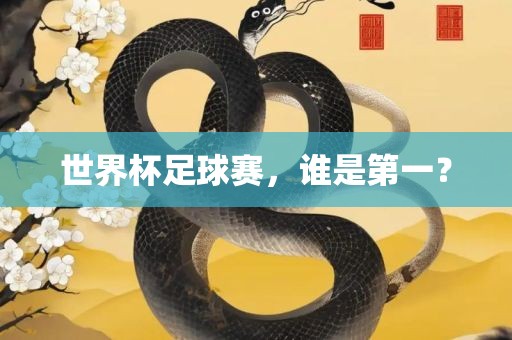 世界杯足球赛，谁是第一？