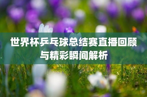 世界杯乒乓球总结赛直播回顾与精彩瞬间解析广西贺州市华昌新材料有限公司