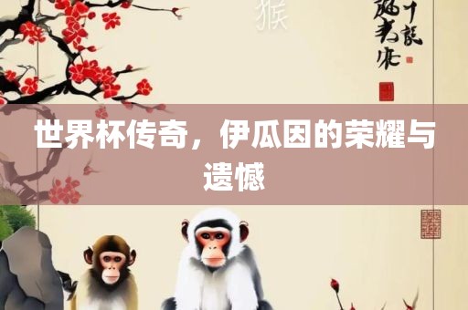世界杯传奇，伊瓜因的荣耀与遗憾